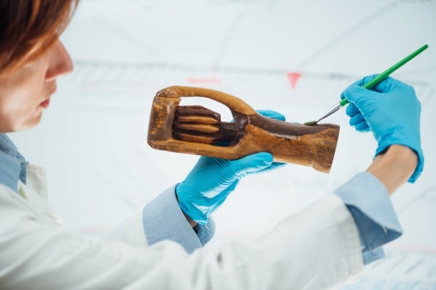 20 Art Conservator Stock Photos Pictures Royalty Free Images Istock 20 Art Conservator Stock Photos Pictures Royalty Free Images Istock