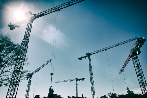 Toned image of a low angle view of five cranes, lens flare.