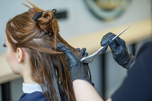 Hairdresser applies color to long hair. Young woman in a beauty salon. Image change concept, hair care, professional cosmetics, small business.
