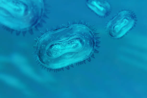 Monkeypox virus model. Concept of searching for antibodies to Monkeypox virus. Anti-Monkeypox Virus VACV-5C7 antibodies. Mutated monkey fever. Model Monkey pox bacteria on blue background.