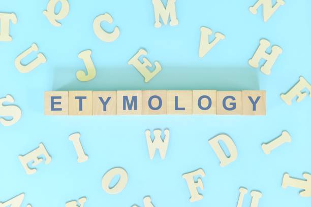 istock Etymology concept in English grammar and learning class lesson. Wooden blocks typography word flat lay in blue background. 1420096181