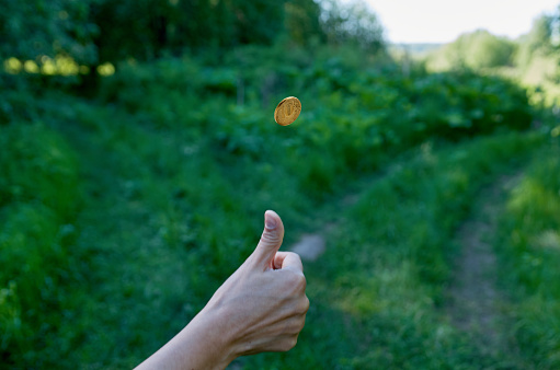 Choice of solution. Tossing a coin at a fork in a forest path