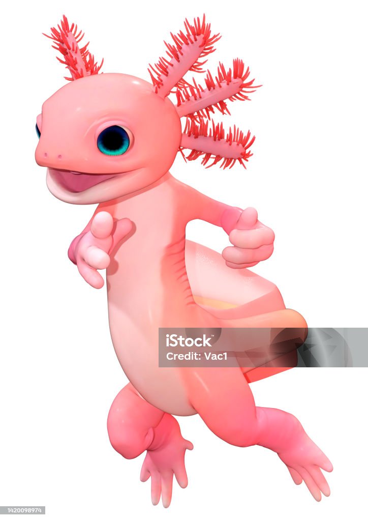 3D Rendering Cartoon Axolotl on White 3D rendering of a cute pink toon axolotl isolated on white background Axolotl Stock Photo