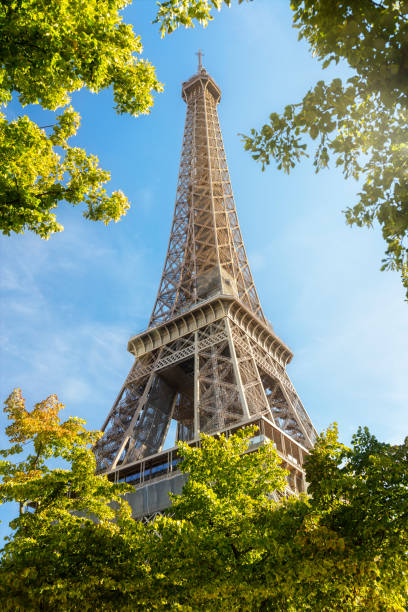 istock Eiffel Tower Paris France 1420107344