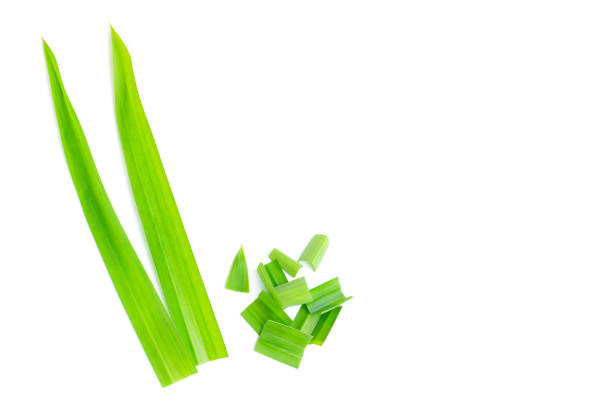 istock Fresh green pandan leaves and slice isolated on white background 1420111329