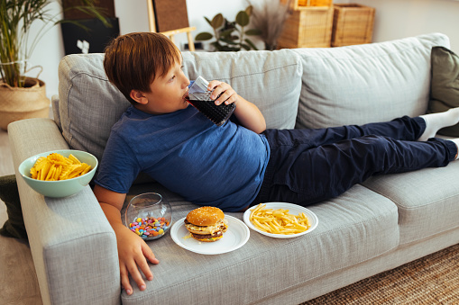 Overweight young boy eating junk food
