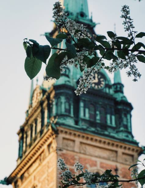 istock Flowers in front of a clock tower 1420116548