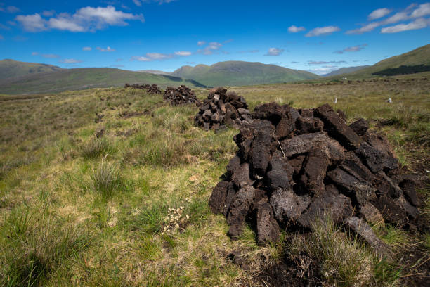 view of a peat bog in Ireland Peat bricks are stacked in a peat field view of a peat bog in Ireland Peat bricks are stacked in a peat field bog stock pictures, royalty-free photos & images