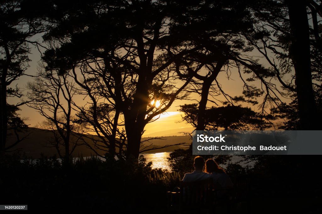 a loving couple contemplates a beautiful sunset over a lake Beauty Stock Photo