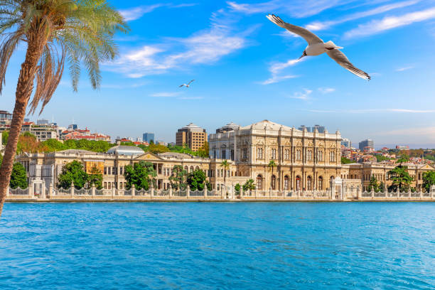 A Seagull flies by the Dolmabahce Palace, Bosphorus, Istanbul, Turkey stock photo