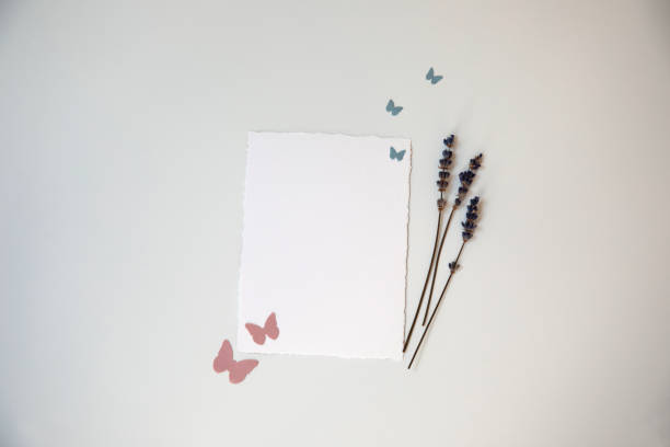 White sheet of paper with space for writing on a white background with dry lavender butterflies. Top view