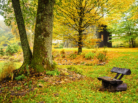 old wooden bench on a backyard of a farmhouse in autumn season in a moody rainy day