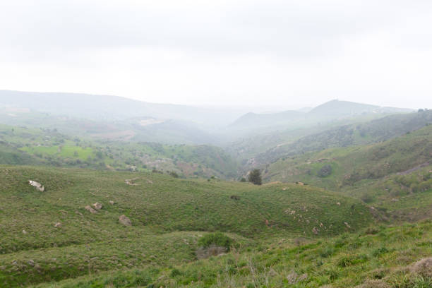 istock Mountain landscape with a view of the forest, valley 1420128219