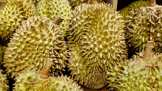 istock Tropical fruits and vegetables 1420128784