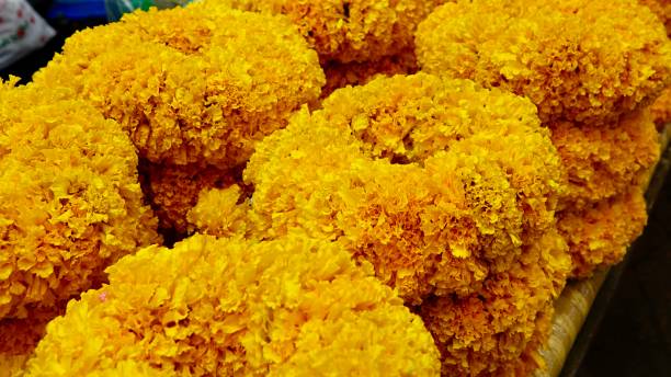 istock Flower market in Thailand 1420132814