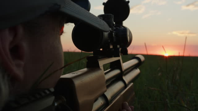 Woman hunter aiming from gun close-up. Hunting season.