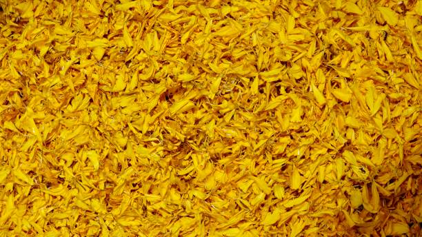 istock Flower market in Thailand 1420134029