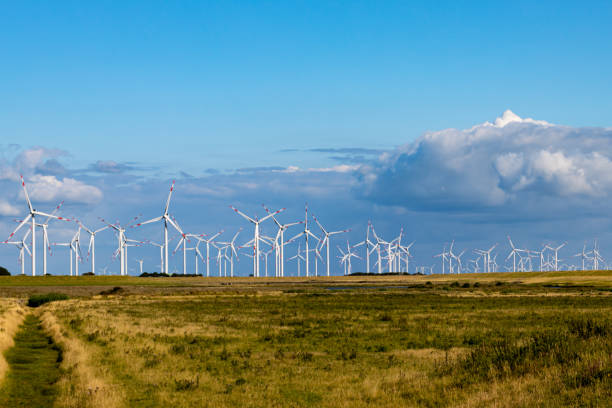 istock Wind farm with many wind turbines on the horizon 1420135227