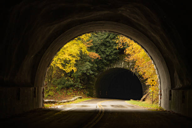 istock Fall Colors through the Other Side of the Tunnel 1420140502