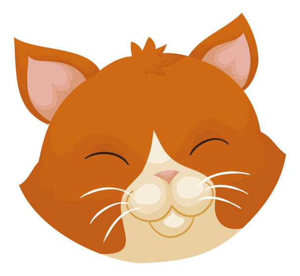 Cat head with orange fur and happy gesture, Vector illustration Cute kitten head of orange fur and happy gesture, isolated over white background. cat muzzle meowing cartoon stock illustrations