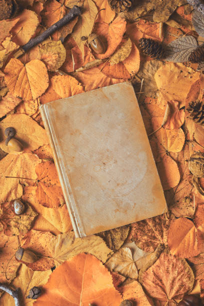 istock Old book with blank covers as copy space on creative autumn background 1420145398