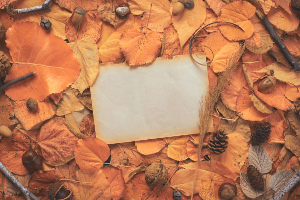istock Creative autumn season layout with blank old note paper as copy space 1420145772