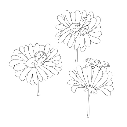 Ladybugs on flowers monochrome outline stock vector illustration for web, for print, for coloring book