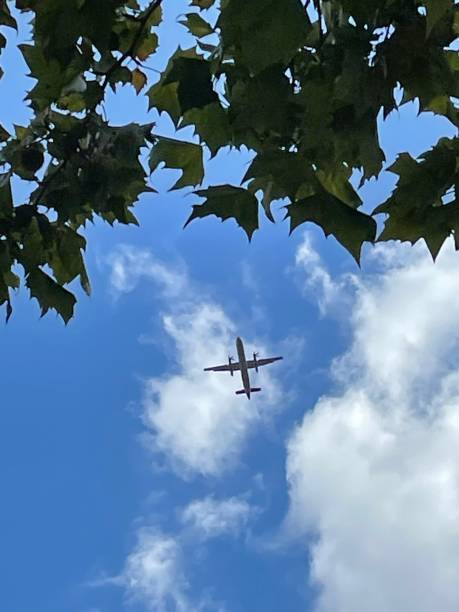 istock The plane in the sky. 1420147730