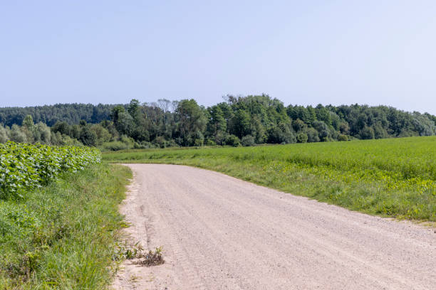 istock Dirt road in the field 1420148322
