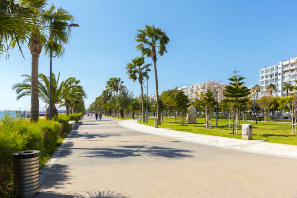 istock Empty street at the nice and comfortable great garden under lovely blue sky 1420150558