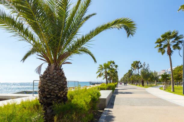 istock Walk way embankment along the sea side 1420151267