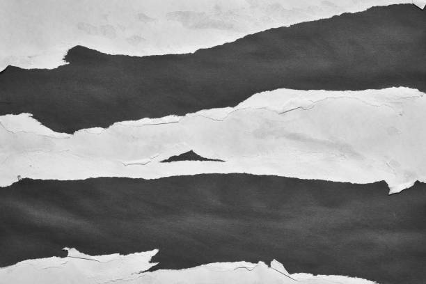 istock Black and White Torn Paper Collage Style, Ripped Paper Effect, Texture Abstract Background, Copy Space for Text. 1420152391