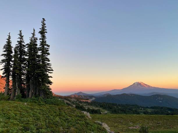 mount adams bei sonnenuntergang - alpenglühen stock-fotos und bilder