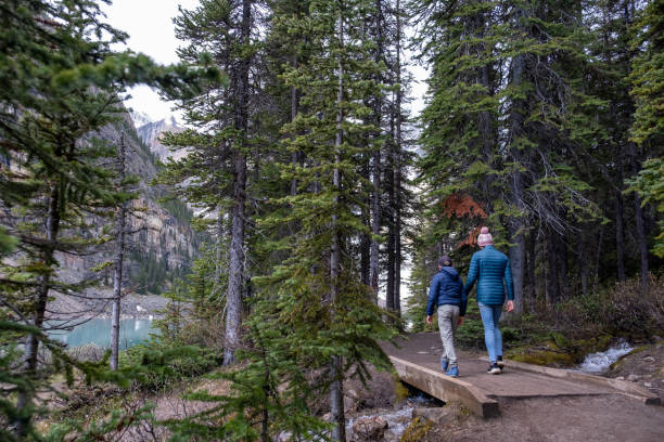 Family exploring nature together A mother walks along a path with her son through a pine forest near Moraine Lake in Canada. Exploring the forests around British Columbia on vacation. moraine lake stock pictures, royalty-free photos & images