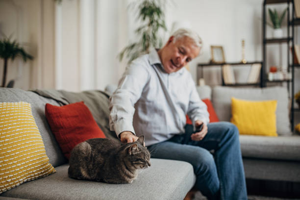istock Senior man with his cat 1420156184