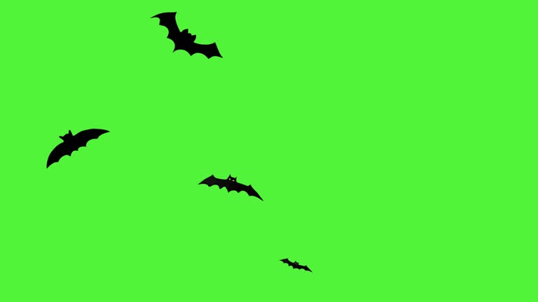 Flock of bats flying on green screen background