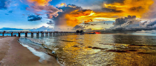 naples pier & beach, 플로리다 - florida naples florida pier beach 뉴스 사진 이미지