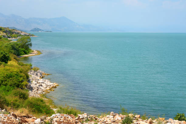 vista deslumbrante da costa do maravilhoso lago skadar no fundo das montanhas. o incrível lago skadar é uma famosa reserva natural de aves nos balcãs localizada na albânia e montenegro. - 13607 - fotografias e filmes do acervo