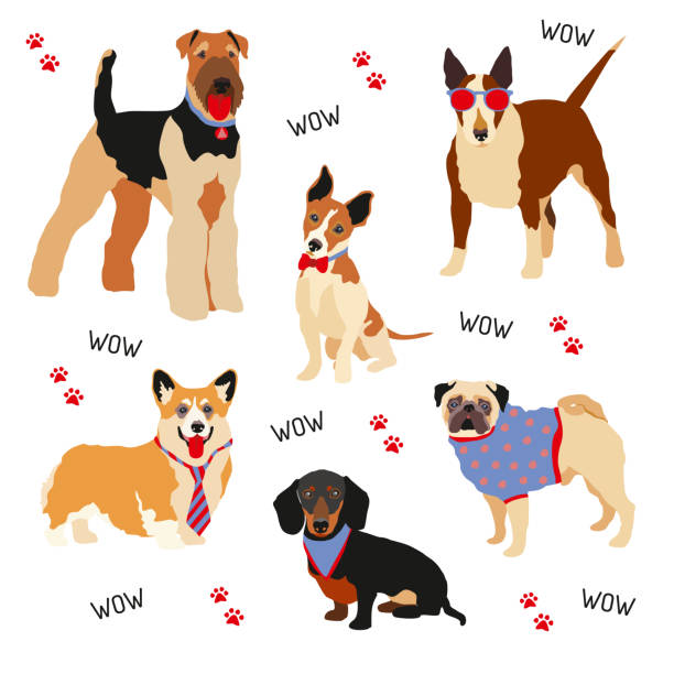 хипстерская собака. характеры домашних собак - animal sitting brown dog stock illustrations