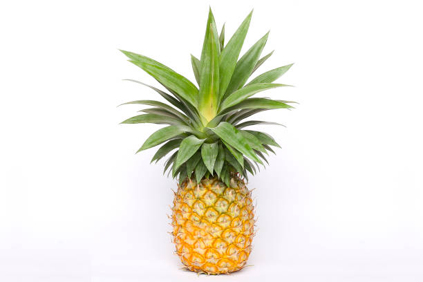 istock fresh pineapple isolated on white background. summer seasonal fruit design concept 1420163696