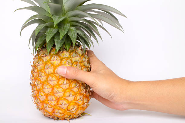 istock fresh pineapple isolated on white background. summer seasonal fruit design concept 1420163703