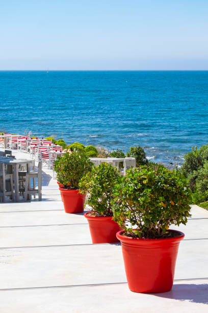 istock Cafe at waterfront by the sea with tables outdoor and panoramic view. 1420167343