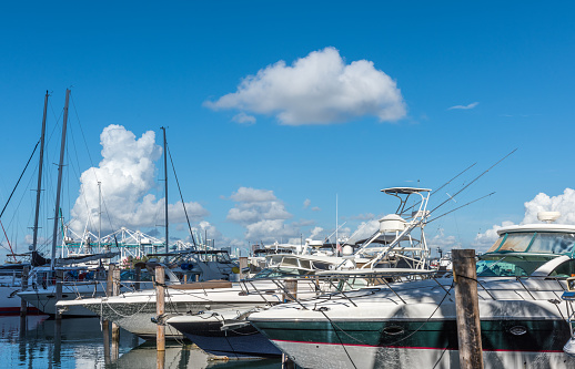 Boats moored at Coconut Grove Marina - Miami, Florida