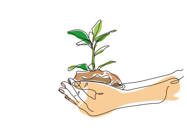 Vector illustration of sketch lifestyle 4_hands hold plant vector illustration graphic EPS 10