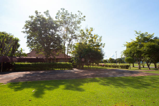 istock Empty street at the nice and comfortable great garden under lovely blue sky 1420171288