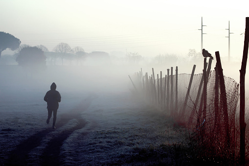 One person silhouette jogging at dawn in a foggy day. City park with electricity pylons and fence posts, with a bird standing by. Fog and air pollution, power station facilities.