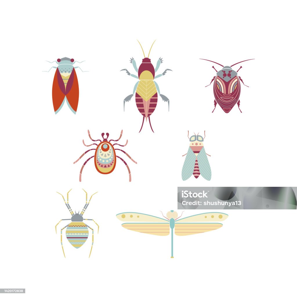Geometric Insects Flat Vector Illustrations Set Stock Illustration ...