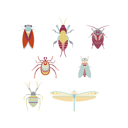 Insect Rectangle Shape Geometric Insects Flat Vector Illustrations Set Stock Illustration ...