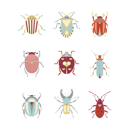 Insect Rectangle Shape Geometric Bugs Insects Flat Vector Illustrations Set Stock Illustration ...
