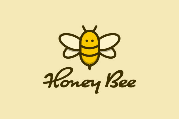 cute honey bee design honey bee design cute flat style design concept bee costume stock illustrations